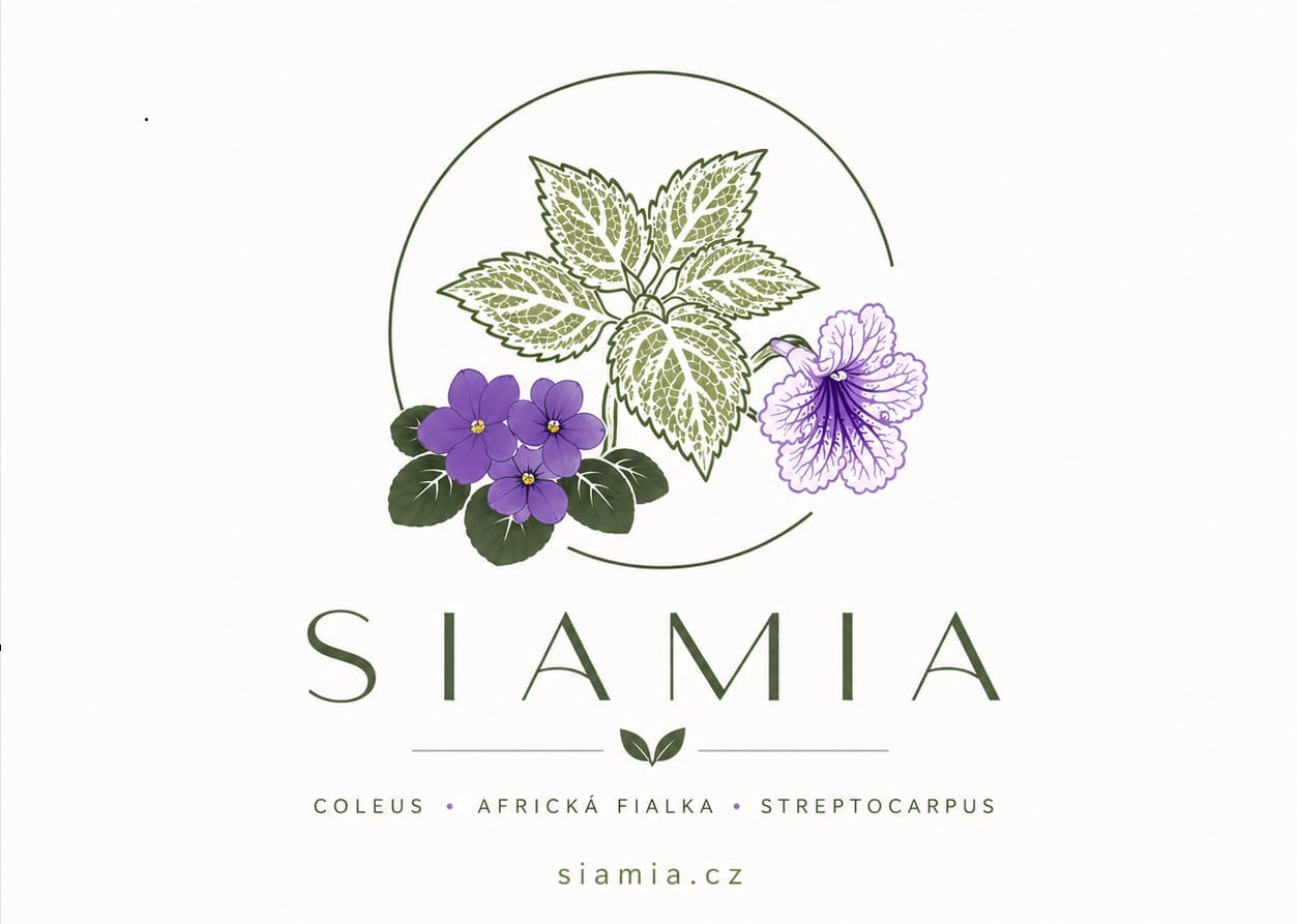 SIAMIA logo